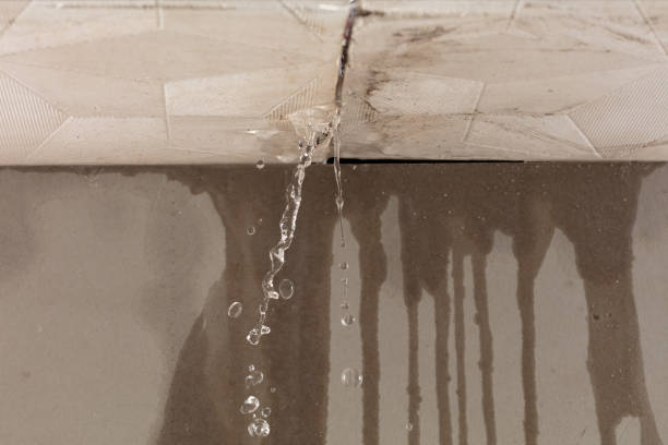 Professional Water Damage Inspection technician working in Cohoes, NY